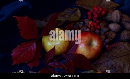 A still life with apples, fruits and berries. Stock Photo