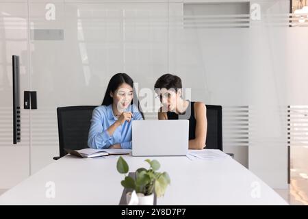 Two diverse business professional women working on project at laptop Stock Photo