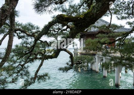 Japanese pine branches and Ukimido temple hall floating on Lake Biwa, Mangetsuji Buddhist temple in Otsu city, Shiga Prefecture, Japan Stock Photo