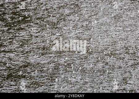 Close-up of raindrops creating ripples on a water surface. Stock Photo