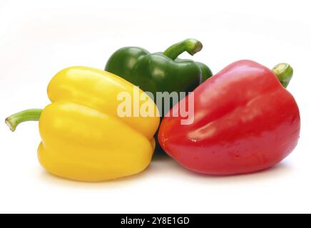 Three peppers Stock Photo