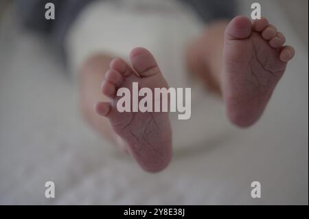 Close-up of baby's feet on a soft surface, blurred background Stock Photo