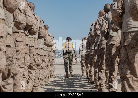 U.S. Marine Corps Sgt. Gaelle Juste, center, a drill instructor with Golf Company, 2nd Recruit Training Battalion, gives instructions to recruits prior to the confidence course training event at Marine Corps Recruit Depot San Diego, California, Sept. 23, 2024. The confidence course challenges recruits physically and mentally through obstacles that require confidence in their strength, balance, and determination. (U.S. Marine Corps photo by Cpl. Sarah M. Grawcock) Stock Photo