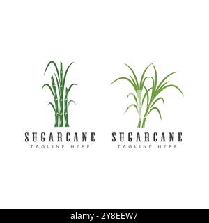 Sugarcane logo vector template symbol design Stock Vector