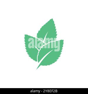 Mint leaf logo vector template symbol design Stock Vector