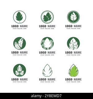 Monstera leaf logo vector design Stock Vector