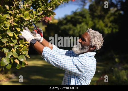 Smiling african american man cutting tree branches in a sunny garden Stock Photo