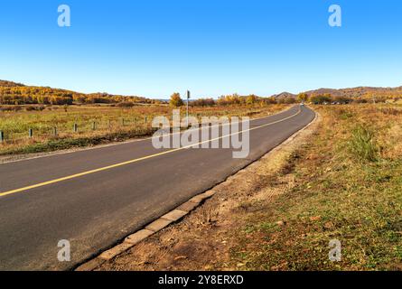Empty road leading through fall foliage forest in the autumn Stock Photo