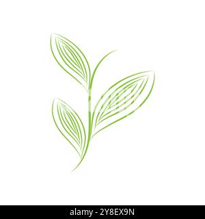 Leaf palm logo vector template symbol and design Stock Vector