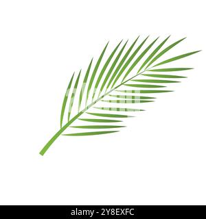 Leaf palm logo vector template symbol and design Stock Vector