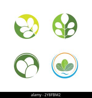 Moringa Leaf Logo Template Vector Symbol Nature Stock Vector
