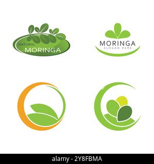 Moringa Leaf Logo Template Vector Symbol Nature Stock Vector