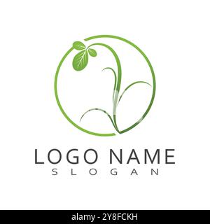 Moringa Leaf Logo Template Vector Symbol Nature Stock Vector