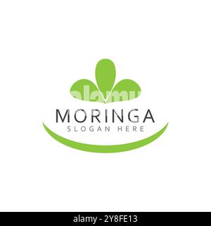 Moringa Leaf Logo Template Vector Symbol Nature Stock Vector