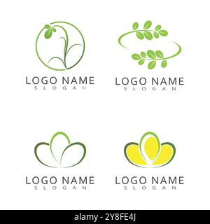 Moringa Leaf Logo Template Vector Symbol Nature Stock Vector