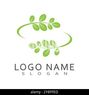 Moringa Leaf Logo Template Vector Symbol Nature Stock Vector