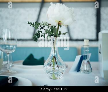 Minimalistic floral arrangement in glass vase. Stock Photo