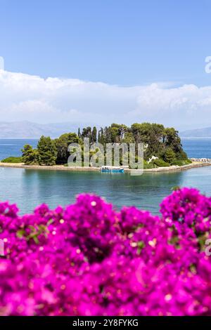 Mouse island at Mediterranean sea with flowers portrait format vacation on Corfu island in Greece Stock Photo