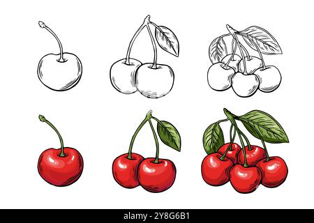 Cherry berry sketch set, engraving. black and white . Fruit vector isolated on white background Stock Vector