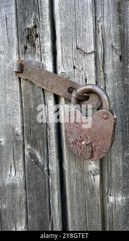 A close-up of an old, rusty padlock securing a weathered wooden door, showcasing the texture of the aged wood and the corroded metal. Stock Photo