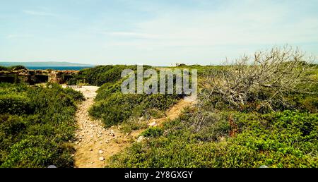 The Faraglioni of Nido dei Passeri, on the coast of Calasetta on the north coast of the island of Sant'Antioco, southern Sardinia, Italy Stock Photo