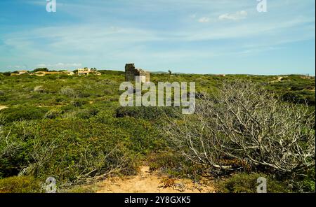 The Faraglioni of Nido dei Passeri, on the coast of Calasetta on the north coast of the island of Sant'Antioco, southern Sardinia, Italy Stock Photo