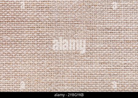 Linen canvas texture in light color for your excellent design, new expensive background. Stock Photo
