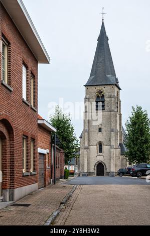 Merchtem, Flemish Brabant Region, Belgium, Feb. 25 2023 - Green meadows ...