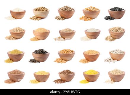 Different cereal grains, seeds and beans in bowls on white background, collection Stock Photo