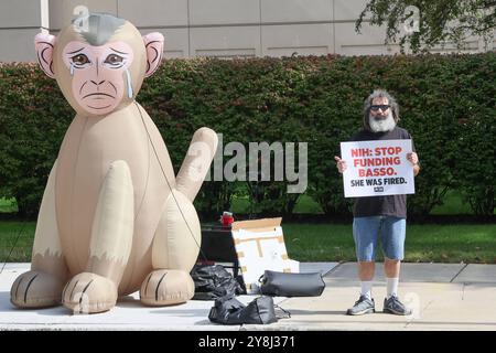 Chicago, USA. 05th Oct, 2024. Using massive inflatable monkeys, PETA protests outside of the Society for Neuroscience Conference at McCormick Place in Chicago, Illinois USA on October 5, 2024. With many vivisectors in attendance, PETA is calling for an end to cruel animal experiments, funding of humane non-animal research, and promoting the Research Modernization Deal, a groundbreaking strategy of replacing animals in experiments with human-relevant models. (Photo By: Alexandra Buxbaum/Sipa USA) Credit: Sipa USA/Alamy Live News Stock Photo