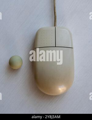 Disassembled computer mouse on white background. Gadget repair ...