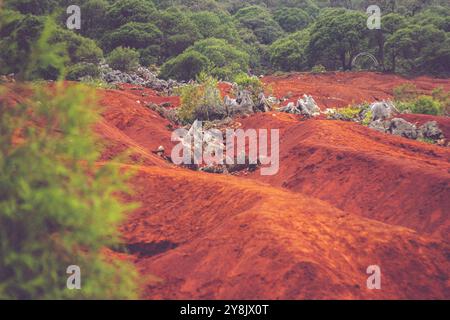 Majestic Red Dunes Under the Open Sky Stock Photo