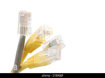 Gray and yellow network cables with molded RJ45 plug isolated on white background Stock Photo