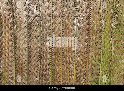 Eco-friendly wall woven from a coconut leaf. Abstract nature background. Stock Photo