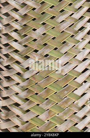 Woven pattern from a coconut leaf. Abstract nature background. Stock Photo