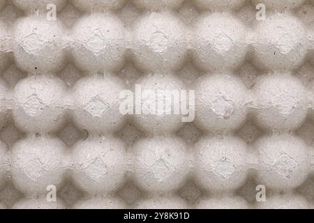 Empty egg tray texture or background Stock Photo