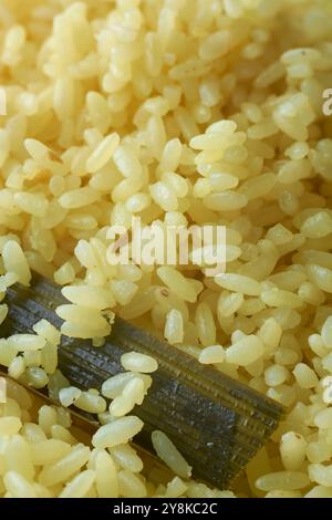 yellow colored rice cooked with clarified butter close-up macro view, south asian cuisine flavorful and aromatic dish, soft focus food background Stock Photo