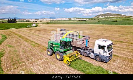 Aerial shot of a combine harvesting clover in a field in Cyprus Stock Photo