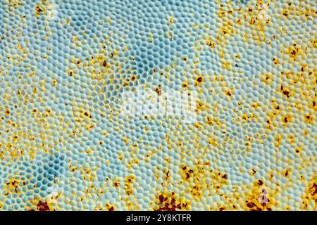 Rusty metal texture close up background with stains and dotty pattern Stock Photo
