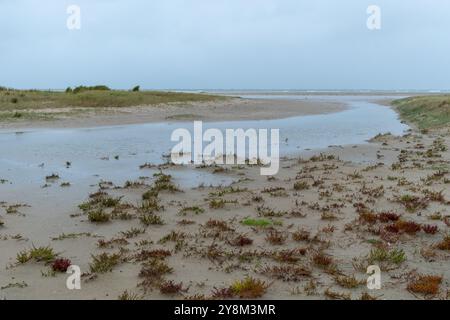 sandy beach in ouddorp, the netherlands, in bad cloudy autumn weather Stock Photo