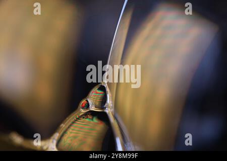 Connection of Green liquid bubbles, oil texture, gasoline in macro Stock Photo