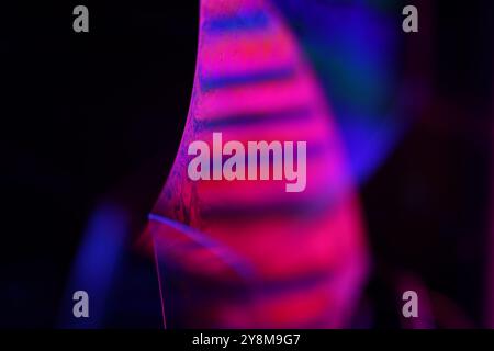 Red and purple fluid pattern, fluid background, plasma, fluid movement, red sphere, dark gloomy background, smooth moving, one line in the dark Stock Photo