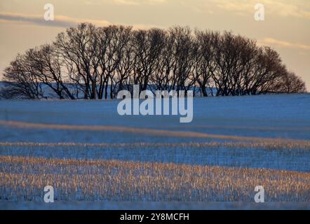 Saskatchewan plains winter extreme cold prairie scenic Stock Photo