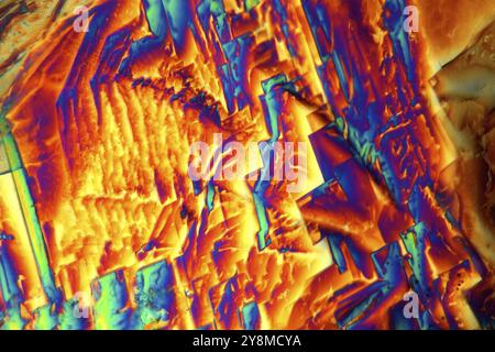 Crystals of Erbium Nitrate under a microscope. The crystals are precipitated from a solution on a microscope slide and photographed in polarized light Stock Photo