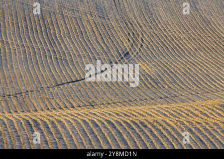 Saskatchewan plains winter extreme cold prairie scenic Stock Photo