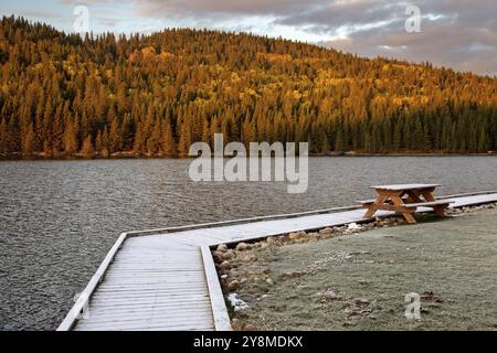 Cypress Hills First Snowfall Alberta Saskatchewan Canada Stock Photo