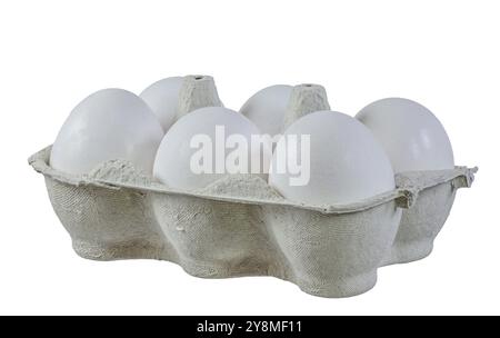 Closeup of an isolated egg box full with white bio eggs Stock Photo