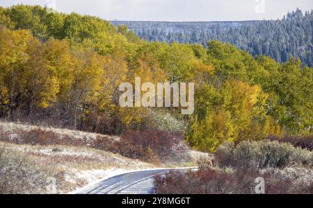 Cypress Hills First Snowfall Alberta Saskatchewan Canada Stock Photo