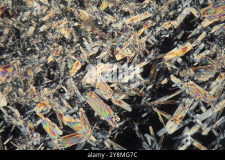 Crystalized honey under the microscope. The crystals are the sugar component of the honey Stock Photo