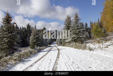 Cypress Hills First Snowfall Alberta Saskatchewan Canada Stock Photo